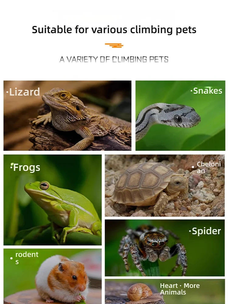 Reptile Terrarium All-in-one Landscape Tank Rainforest Reptile Tank Glass Eco Aquarium Box For Geckos Lizards Turtles Scorpions