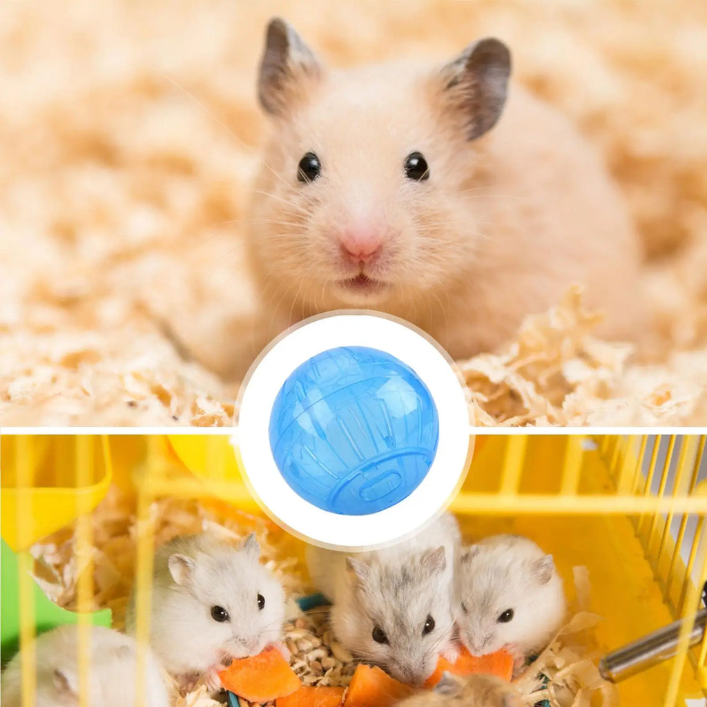 Hamster Running Wheel Jogging Exercise Wheel for Small Animals Hamster Exercise Balls Running Wheel for Hamsters Golden Bear