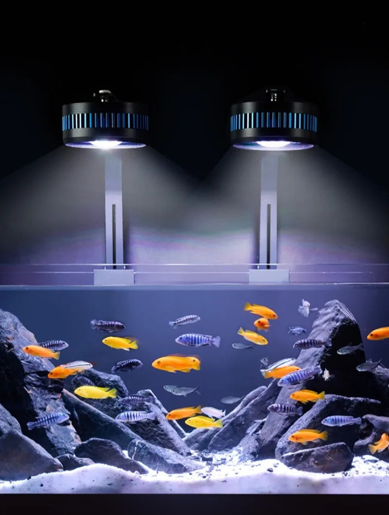 Fish Tank Downlight Led Full Spectrum Metal Aquarium Lamp Clip-on Waterproof Fishbowl Light Aquatic Plants Ornamental Lighting