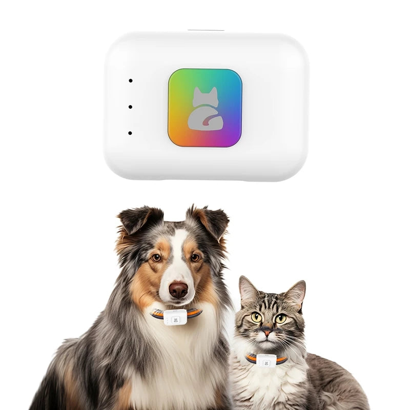 GPS Pet Tracker with Colorful LED Flash 4G Smart Pet Collar IP67 Waterproof Pet Pedometer Calorie Health Data Tracker