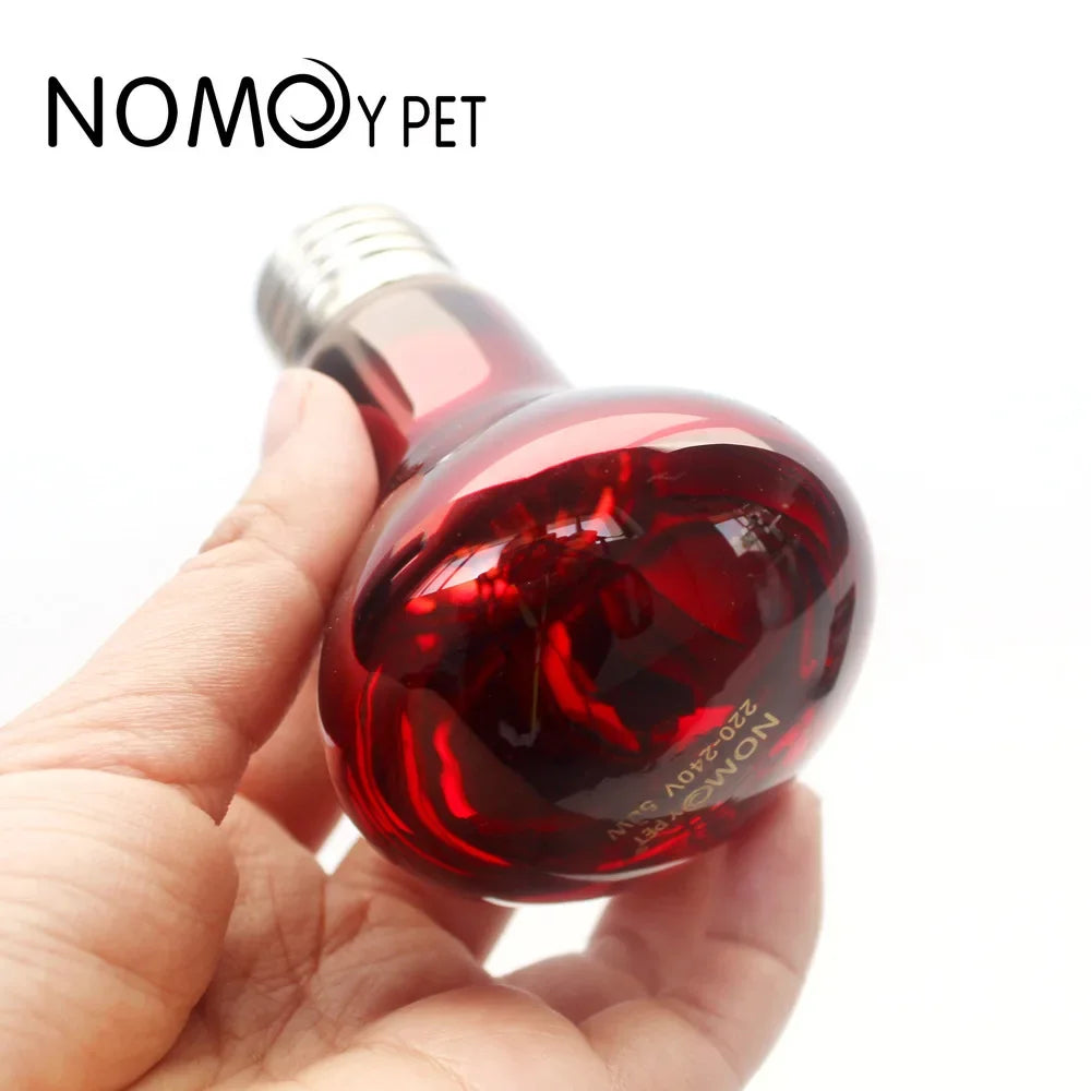 Reptile Heat Lamp Bulb Infrared Basking Spot Lamp 110V/220V Amphibian Snake Lamp Heat Reptile Bulbs 25W 50W 100W  luz terrario