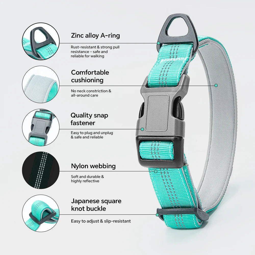 Dog Collar for Medium Dogs,Adjustable Pet Neck Band with Comfortable Soft Padding, Lifetime Durability, Heavy-Duty D-Ring