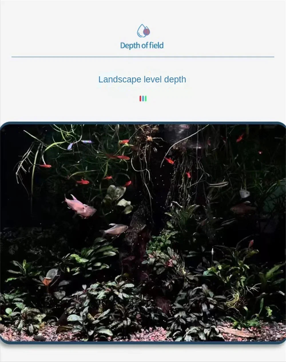 Aquarium Full Spectrum LED Lighting Lamp, Goldfish Lamp, Special Algae Color, Increasing Water Plant, Magic Lamp, 60 / 100W