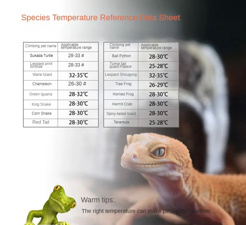 Reptile intelligent thermostat palace tortoise climbing pet feeding box UVA ceramic lamp heating pad temperature control