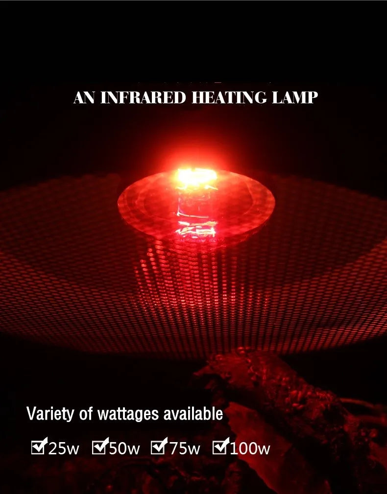 Reptile Heat Lamp Bulb Infrared Basking Spot Lamp 110V/220V Amphibian Snake Lamp Heat Reptile Bulbs 25W 50W 100W  luz terrario