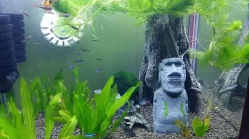 Resin Aquarium Decoration Fish Tank Ancient Antique Roman Statue Ornament Acuario Rocks for Aquarium Fish Decor Reptile Box