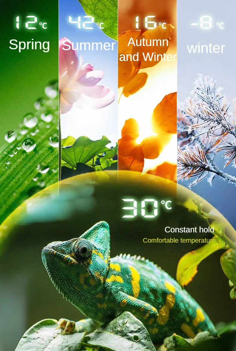 Reptile intelligent thermostat palace tortoise climbing pet feeding box UVA ceramic lamp heating pad temperature control