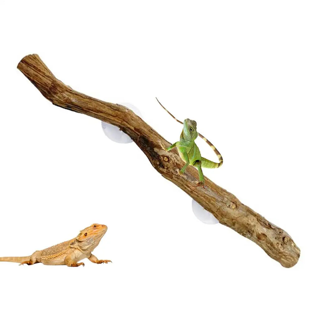 Reptile Climbing Corner Stick Non-slip Reptile Branches Terrarium Branches Reptile Decor Wooden Tree Trunk Ornament Habitat Deco