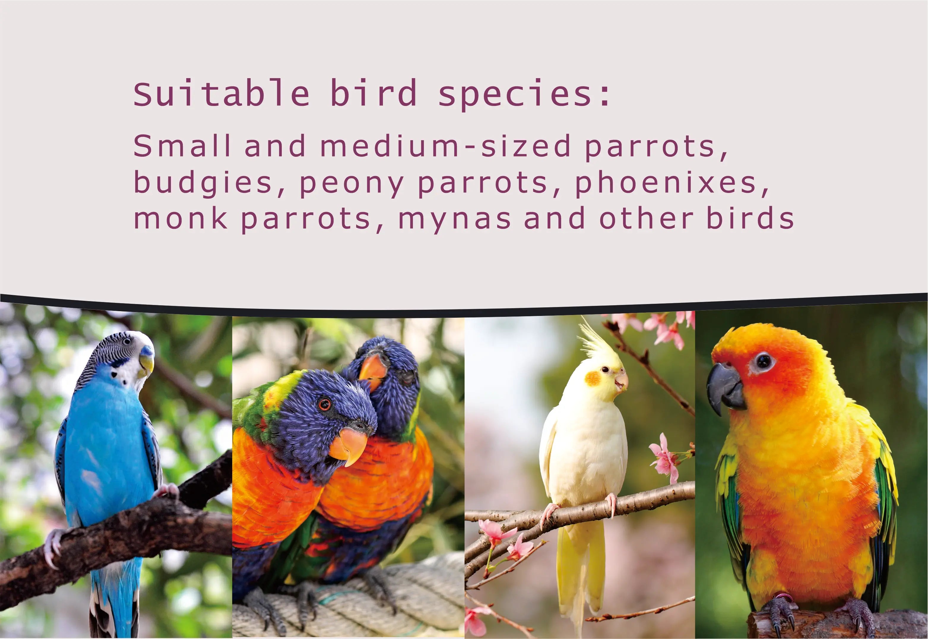 Wild Bird Cages Parrot Cages Pet Breeding Birdcage