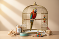Bird Starter Pack