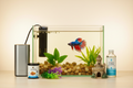Fish Starter Pack