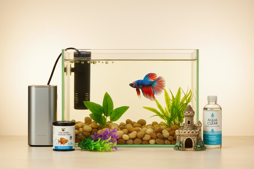 Fish Starter Pack